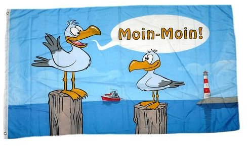 FahnenMax Moin Moin Möwen 90 x 150 cm Funflagge/Fahne Mehrfarbig, Casual/Fun