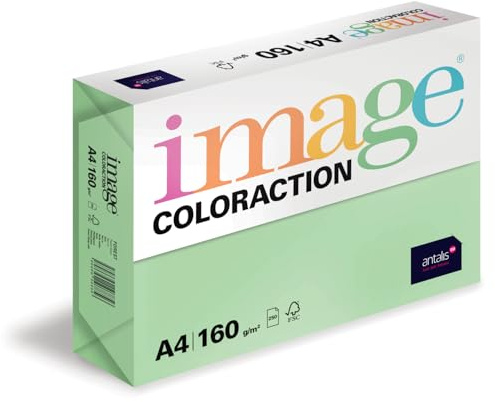 Image Coloraction Forest - farbiges Kopierpapier - DIN A4, 210 x 297 mm, 160 g/m² - buntes, holzfreies Druckerpapier für Kopierer - 250 Blatt - Grün