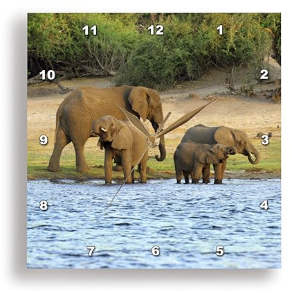 3dRose dpp_131440_1 African Elephant, Chobe National Park, Botswana-Af05 Mgl0003-Miva Stock Wall Clock, 10 by 10-Inch