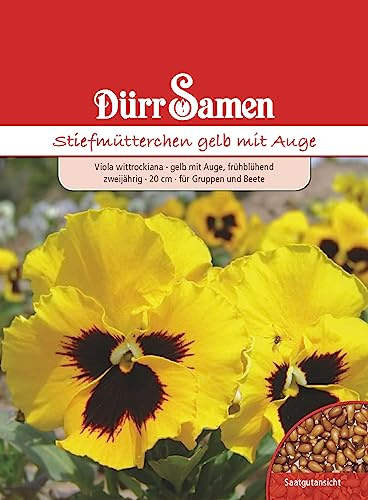 Stiefmütterchen Samen Gelb mit Auge Stiefmütterchensamen Veilchen ca 200 Korn Saatgut Blumensamen Garten Hochbeet Balkonkasten Kübel Dürr Samen