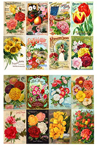 Flonz Decoupage-Papier Pack (20 Blatt 10x15cm) Blumen Rosen Garten Wildblumen Vintage Papier