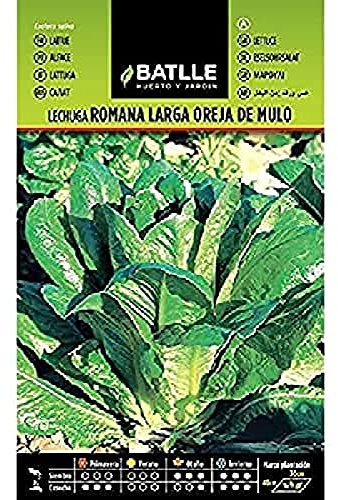 Batlle Gemüsesamen - Römersalat - oreja de mulo (5600 Samen)