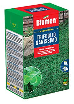 Blumen 8006933033780