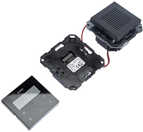 Gira 5222038 228028 Unterputz Radio RDS System 55, anthrazit
