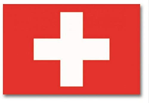 Mil-Tec Unisexe - Drapeau Suisse - 16745000 - Adulte - Taille unique