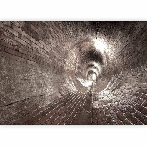 Fotomurales B&D XXL - 300x210 cm XXL Papel pintado tejido no tejido Decoración de Pared decorativos Murales moderna Diseno Fotográfico Ladrillo d-B-0037-a-d