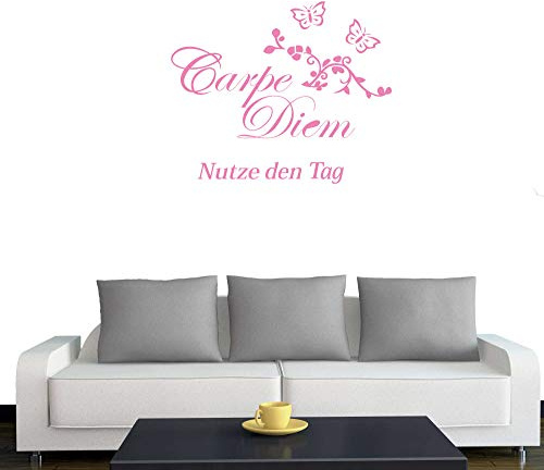 'A601 pared adhesivo Carpe Diem, 70 cm x 60 cm (disponible en 40 colores y 3 Tamaños), vinilo, Rosa, 133cm x 115cm
