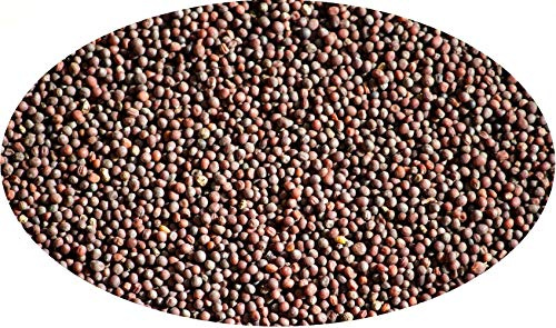 Eder Gewürze - Graines de moutarde brunes entières - 500g