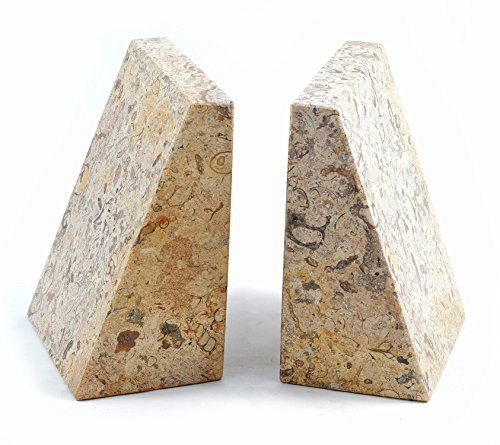 fossilstone Marmor Keil Buchstützen