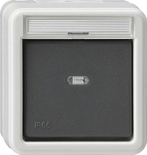 Gira 010631 Wippschalter Wechsel WD Aufputz, grau