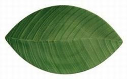 Villeroy & Boch Palm Leaf Gourmet Piatti Fondi 28 cm