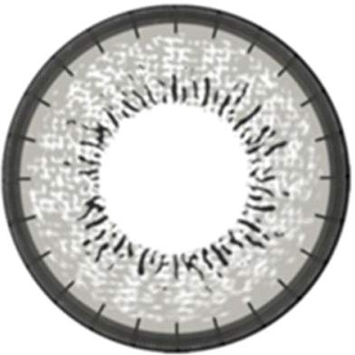 Matlens – EOS Farbige Kontaktlinsen mit Stärke circle lenses gray grau J-203 2 Linsen 1 Kontaktlinsenbehälter 1 Pflegemittel 50ml