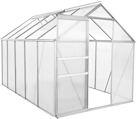 Zelsius Aluminium Gewächshaus 310 x 190 cm | 6 mm Hohlkammerplatten, UV-beständig, Winterfest | Treibhaus, Pflanzenhaus, Tomatenhaus, Frühbeet, Anbau Gewächshaus, Tomatengewächshaus, Gartenhaus