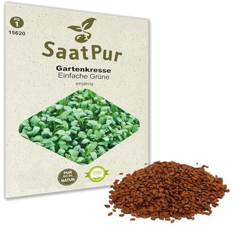 Kresse Sprint Gartenkresse Einfache 1000g frische, reine Ware Samen