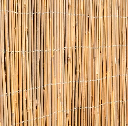 Primrose Papillon Bamboo Cane Natural Garden Fencing Screening Roll Privacy Screen 4m x 1.8m (13ft 1in x 6ft)