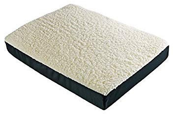 Forever Comfy Combination Cushion With Foam and Therapeutic Gel As Seen On TV