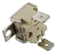 Paxanpax Termostato no original con corte térmico, compatible con AEG/Electrolux/Moffat/Parkinson Cowan/Zanussi Series, 300°C, 250V, 1.0W