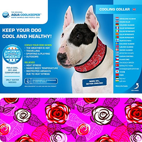 Aqua Coolkeeper cooling collar - Roses - XXL