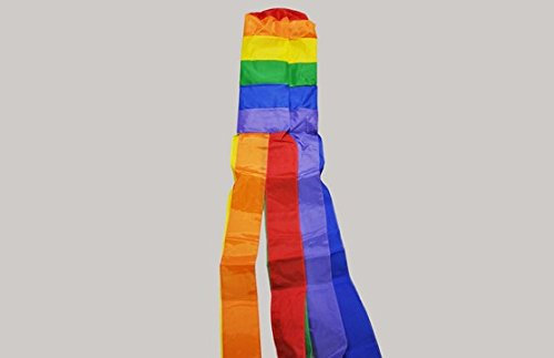 Flagtex Windsocks and Wind Spinners (Rainbow)