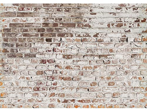 Runa Art Fototapeten 396 x 280 cm Steinwand - Vlies Wanddekoration Wohnzimmer Schlafzimmer - Deutsche Manufaktur - Weiss Braun 9083012c