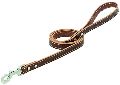 Terrain D.O.G. Bridle Leather Dog Leash,Brown,3/4 x 4'