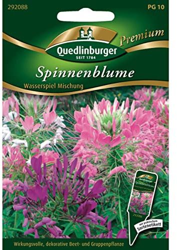 Spinnenblume, Wasserspiel Mischung