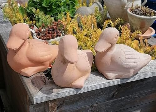 B-Ware ! Süße Ente echt Terrakotta 24 cm,Deko für Garten und Wohnung Terracotta Teich Wasser Bauernhof Landleben Zoo