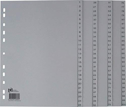 Oxford 100204663 Kunststoff-Register 5er Pack 1-100 100-teilig A4 grau ohne Deckblatt Ringbuch Ordner Plastikregister, Ring-Mappe