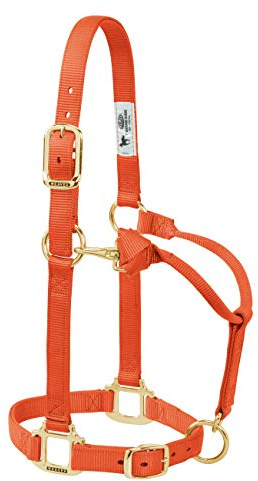 Väv läder original justerbar nylon hästgrimma weanling/ponny, orange