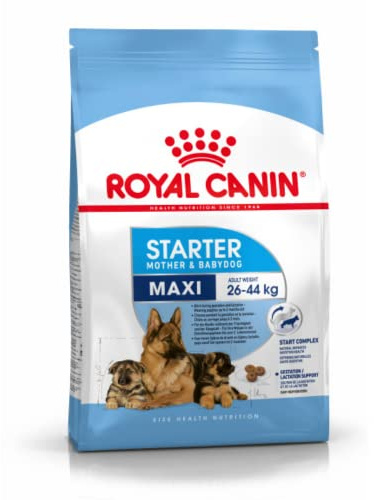 Royal Canin Hundefutter Maxi Starter 4 kg, 1er Pack (1 x 4 kg) | Unterstützt die natürliche Abwehr, Verdauung, Schwangerschaft und Stillzeit, mit einfacher Rehydratation