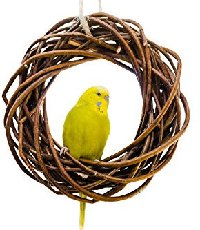 Vogelgaleria® Leckerer Weidenring zum Knabbern für Wellensittich, Nymphensittich & Co.; Weidengeflecht. Vogelspielzeug für die Voliere oder den Vogelkäfig Wellensittich. Vogelspielplatz zum Aufhängen