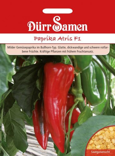 Dürr-Samen - Paprika Atris F1 Saatgut