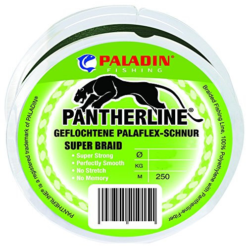 Paladin Pantherline grün 250m- geflochtene Angelschnur, Schnur zum Angeln, Durchmesser/Tragkraft:0.25mm / 21kg Tragkraft