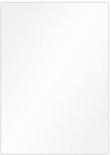 Ursus 81204619 - Bastelkarton Struktura Pearl 1 Polar Weiß, geprägter Tonkarton mit Leinen-Struktur und Pearl-Effekt, 220 g/qm, DIN A4, 25 Blatt, geeignet für Tintenstrahl- und Laserdrucker