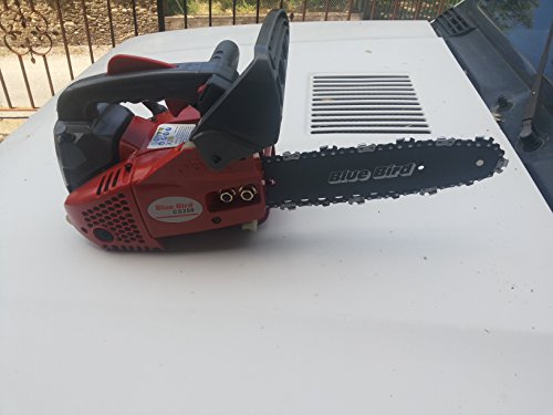 Motosega Bluebird potatura 25cm