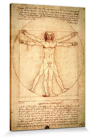 1art1 Leonardo Da Vinci Poster Vitruvianischer Mensch, Circa 1490 Bilder Leinwand-Bild Auf Keilrahmen | XXL-Wandbild Poster Kunstdruck Als Leinwandbild 120x80 cm