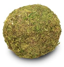 NaDeco Moos Ball Ø 15cm - Handgefertigte Mooskugel aus Asia Moos - Perfekte Naturdeko für Hochzeit, Tischdeko, Gestecke & Bastelprojekte - Moos Deko für Innen & Außen