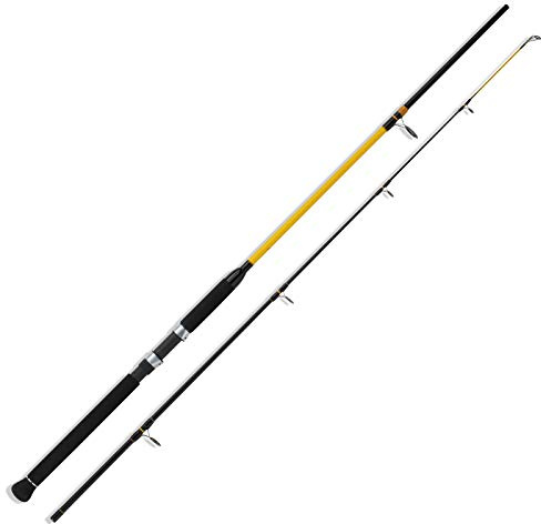 WFT Never Crack Senso Pilk 2,40m 20-120g Pilkrute