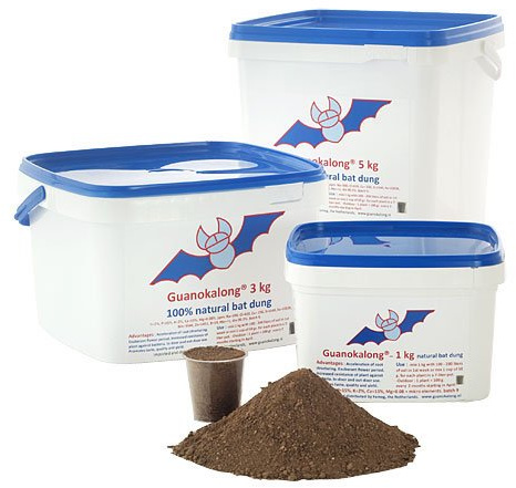 Guano Kalong di Pipistrello (polvere) 1KG