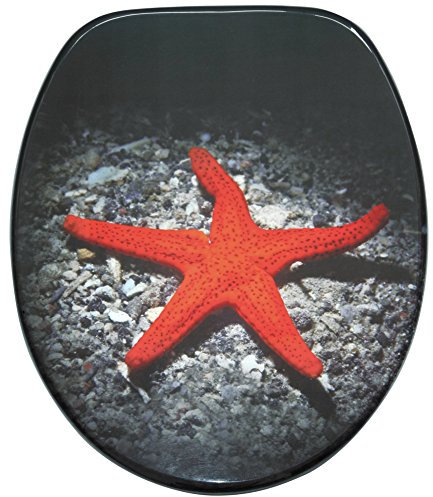 Sanilo WC Sitz mit Absenkautomatik, hochwertiger Toilettendeckel, einfache Montage, stabile Scharniere, Deep Sea