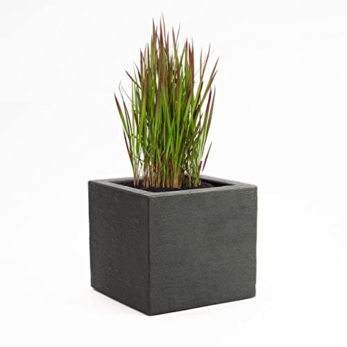Pflanzwerk® Pflanzkübel Anthrazit Kunststoff 34x40x40cm *Frostbeständig* *100% ÖKOLOGISCH* *2 Jahre GARANTIE* *Qualitätsware*
