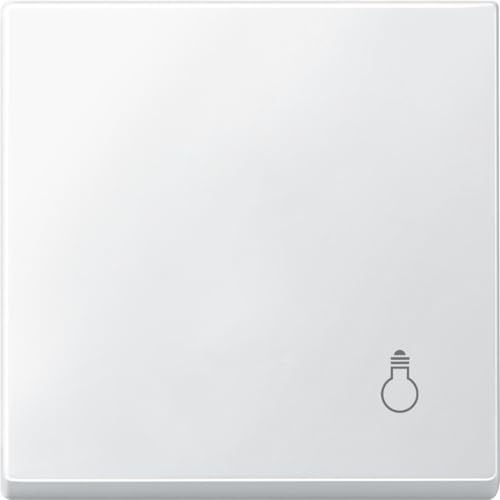 Merten Wippe mit Kennzeichnung Licht, System M, polarweiß, MEG3302-0419