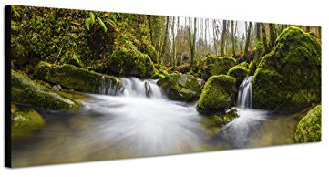 Augenblicke Wandbilder Keilrahmenbild Wandbild 150x50cm Wald Steine Moos Waldbach Herbst