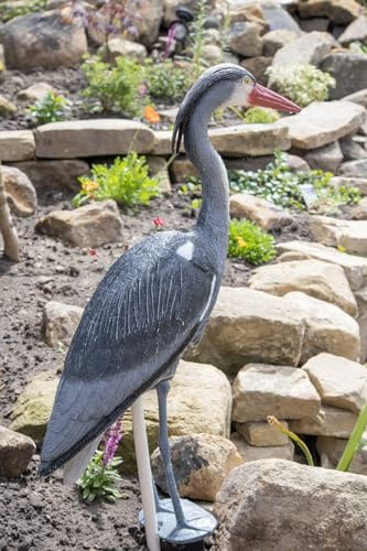 Pond H2O Blue Heron Decoy with Legs & Ground Stake 30'' (76cm) Tall, Adult Blue Heron Statue for Backyard Koi Fish Ponds, Yards & Water Gardens