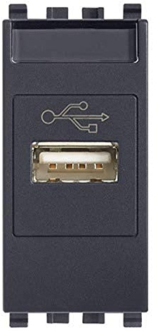 Vimar 20345 Eikon Presa elettrica Standard USB Grigio