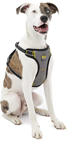 Kurgo Impact Hunde-Autogeschirr, Crashtest-geprüft für mehr Sicherheit, Für Hunde von 11-23 kg geeignet, Größe M, Schwarz