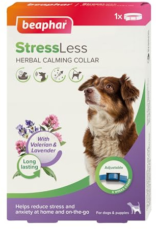 Beaphar – StressLess Herbal Calming Collar for Dogs – Reduces Stress & Anxiety at Home and On-the-Go – With Valerian & Lavender – 6 Weeks Long-Lasting Support – 1x Adjustable Collar (65cm)