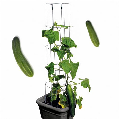 bellissa Gurken-Rankhilfe einzeln Gurkenturm Stahl verzinkt 120 cm | Rankgitter für Tomaten, Gurken etc., stabile Pflanzenstütze für Garten, Hochbeet & Töpfe, wetterfest & wiederverwendbar