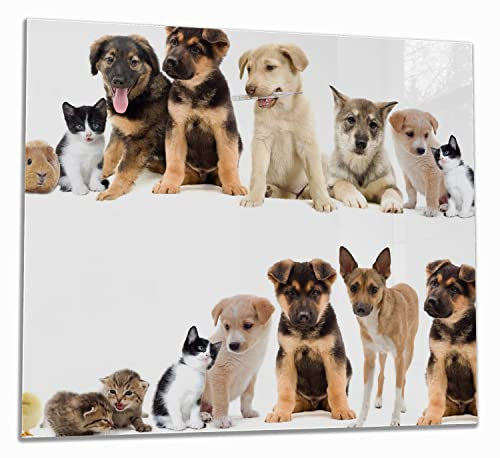 Wallario Herdabdeckplatte/Spritzschutz aus Glas, 1-teilig, 60x52cm, für Ceran- und Induktionsherde, Süße Haustiere - Katzen Hunde Hamster Küken