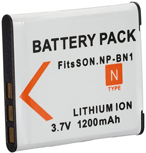 Amsahr BT-SNNPBN1-1CT Numérique Remplacement Caméra/Caméscope Batterie pour Sony Npbn1/Np-Bn1/Np Bn1/Cyber-Shot: Dsc-T110/Tx9/T110V Gris